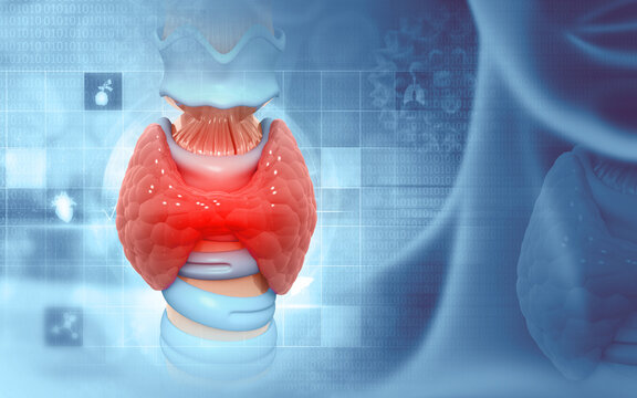 Imagem ilustrativa de Endocrinologista em Goiânia